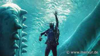 „Whalefall“: Kann ein Mensch wirklich eine Stunde lang im Inneren eines Wals überleben?