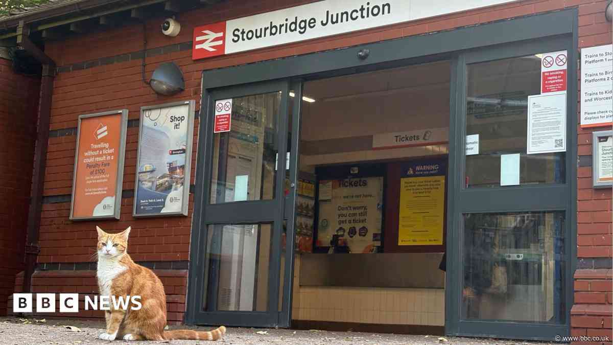 Meet the station cat whose book won hearts globally