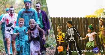 Griezelen in regio Antwerpen: met deze 8 activiteiten beleef je een spannende Halloween
