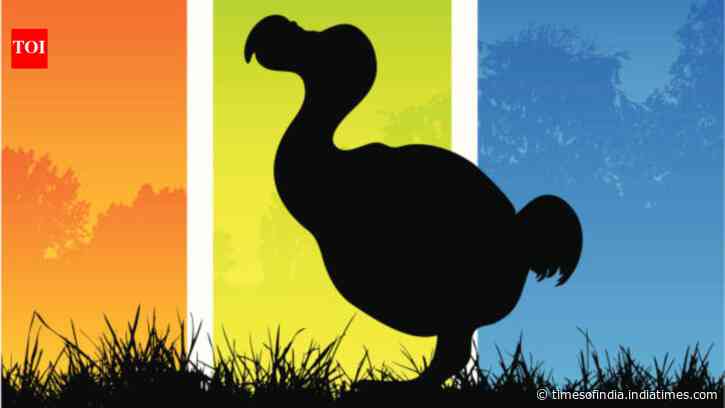 Could the dodo return? US firm maps 95% of its genome and identifies gene-editing targets