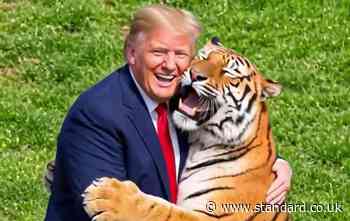 'Show respect': Britain slams Donald Trump over tiger video after man mauled to death