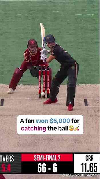 A catch worth $5,000 😳🏏