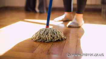 Wooden floors will be shiny and free of dust all autumn when mopped with 1 item