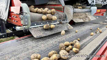 Franse aardappelexport kleiner ondanks goede start