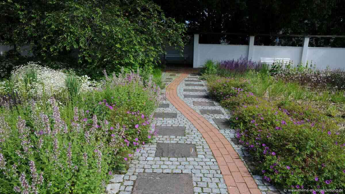 Mit diesem Hausmittel werden Gartenwege im Herbst wieder picobello