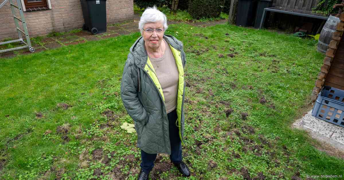 Na nachtelijke ravage in Waalwijk wijst alles op dit diertje: ‘Mij maak je niet wijs dat dat vogels waren’