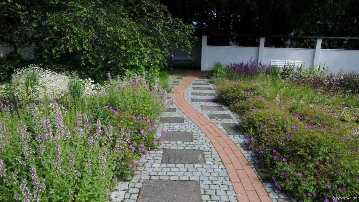 Mit diesem Hausmittel werden Gartenwege im Herbst wieder picobello