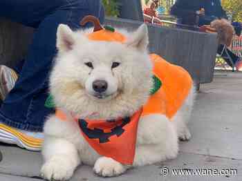 Howl-O-Walkoween returns to support Fort Wayne Animal Care and Control