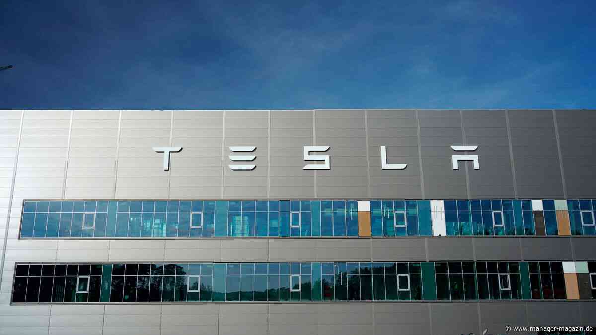 Tesla: Wie der Elektroautobauer Deutschlands Batteriehoffnung Saueressig gefährdet