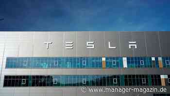 Tesla: Wie der Elektroautobauer Deutschlands Batteriehoffnung Saueressig gefährdet