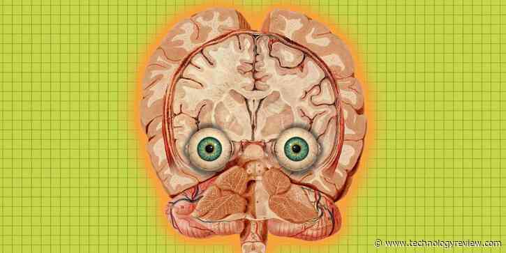 Six wild ideas for perpetuating your mind