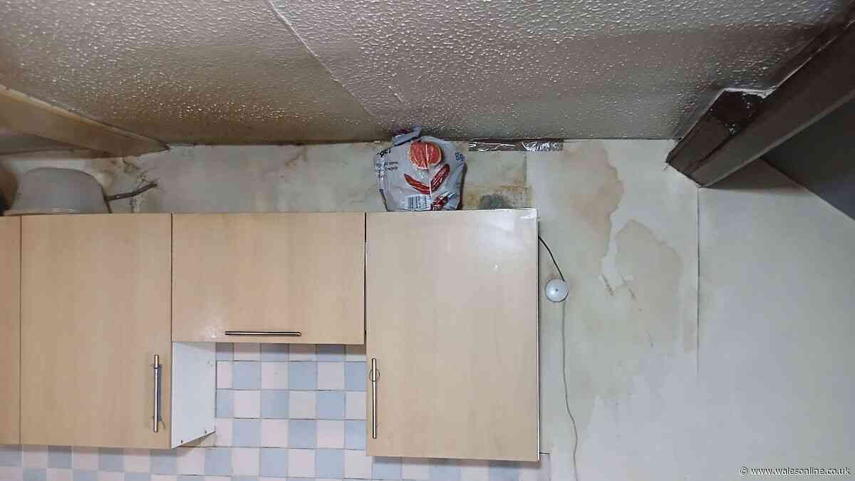 Tenants lived in illegal Cardiff flats with damp kitchen and no control over heating