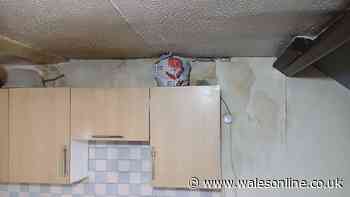 Tenants lived in illegal Cardiff flats with damp kitchen and no control over heating