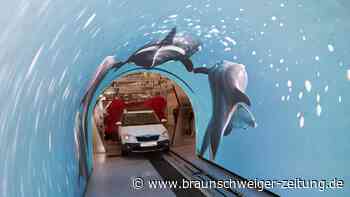 Echter Hingucker? Neue Waschstraße in Braunschweig setzt auf Video-Waschtunnel