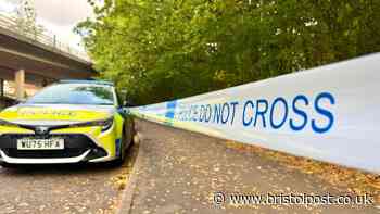 'Substantial' crime scene near Eastville park and M32 - live updates