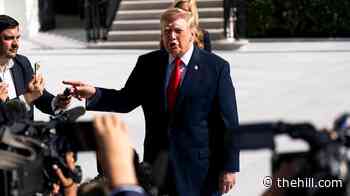 Trump's flood-the-zone strategy drowns state-specific midterm messaging