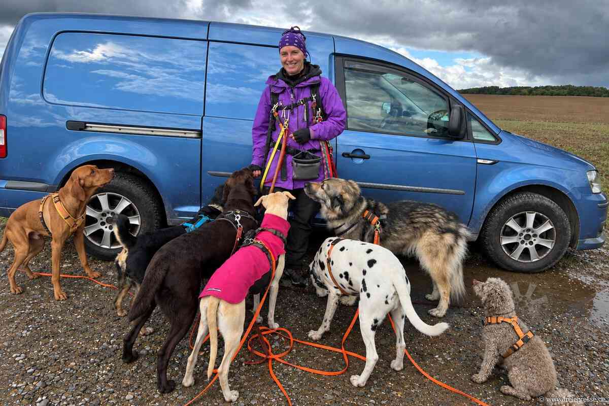 Traumjob Dogwalkerin: Die Frau, die ein Rudel führt