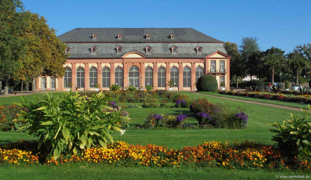 Sommerpflanzen aus der Orangerie abzugeben