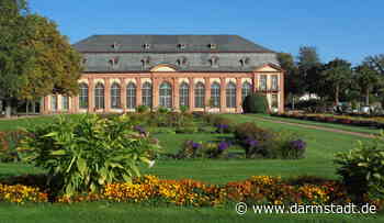 Sommerpflanzen aus der Orangerie abzugeben