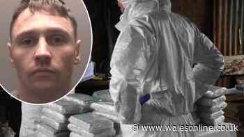 The Welsh farm, a man named Duracell, and the international crime gang worth tens of millions