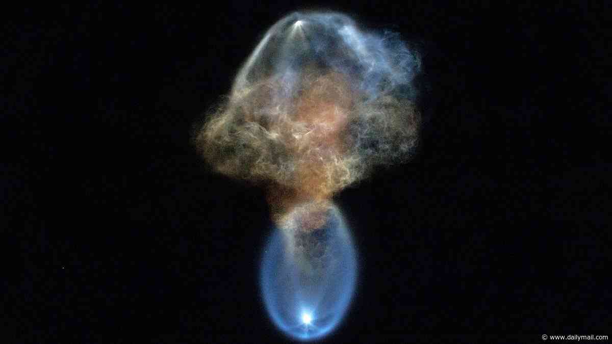 Out-of-this-world photos capture incredible 'space jellyfish'... can you guess what it really is?