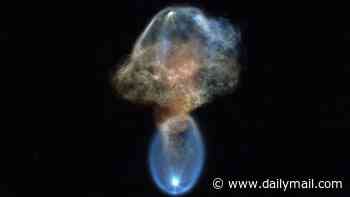 Out-of-this-world photos capture incredible 'space jellyfish'... can you guess what it really is?