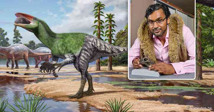 Nieuwe roofdinosaurus, die ons zeker zou hebben achtervolgd, ontdekt dankzij fossiel dat 100 jaar in een schuif lag: “Verwant aan de T. Rex”