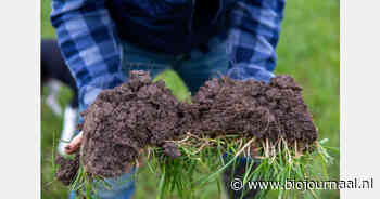 Zeeland subsidieert demonstraties regeneratieve landbouw