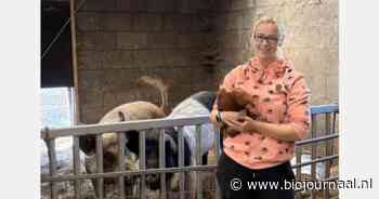 Bij biologische boerderij De Oude Witte Engel op Texel wordt familietraditie voortgezet