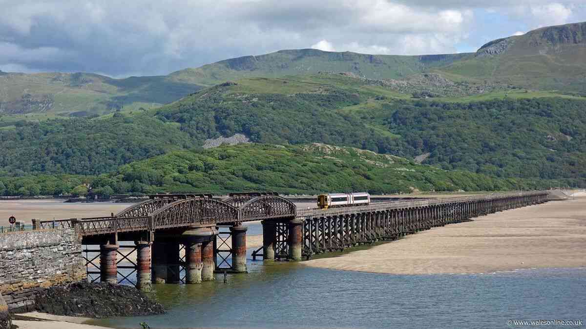 Rescue mission launched after person trapped under railway bridge