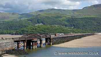 Rescue mission launched after person trapped under railway bridge