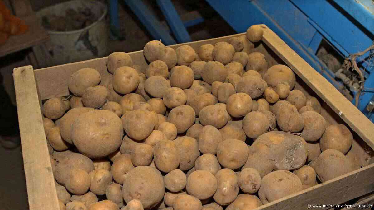 Sommer-Wetter beeinflusst Kartoffelpreis: Was Verbraucher im Supermarkt jetzt erwartet