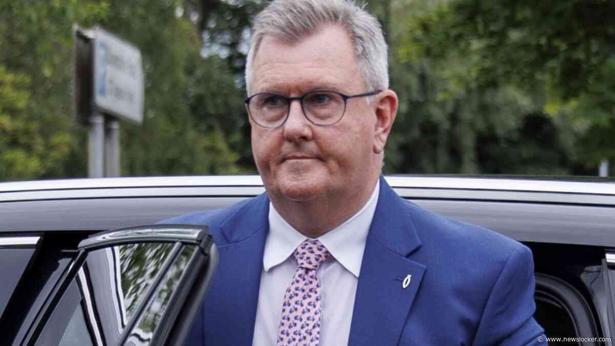 Noord-Iers politicus en oud-partijleider Jeffrey Donaldson (63) krijgt vijftien jaar cel voor kindermisbruik
