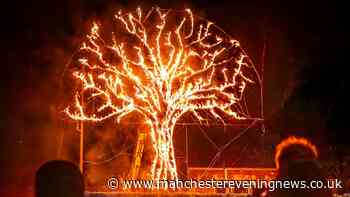 The free 'magical' lightshow coming to Greater Manchester park this October half term