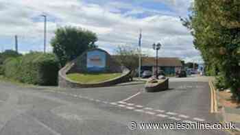 Holidaymaker dived through caravan window after being confronted by man with knife