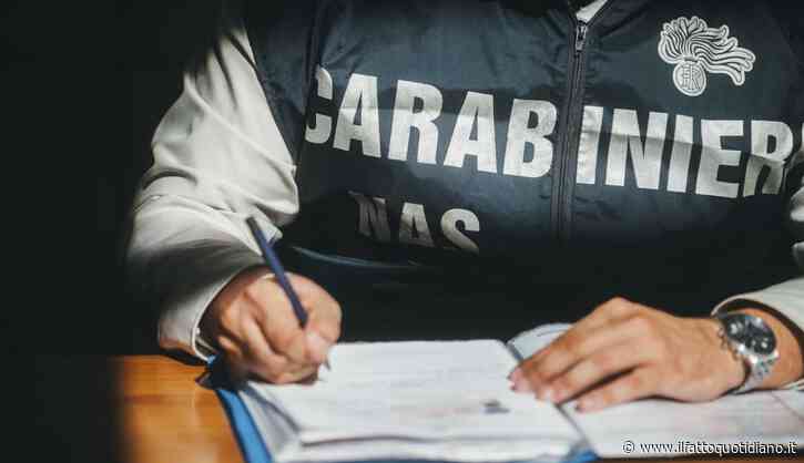 “Vorrei l’orsacchiotto con gli occhiali”, anabolizzanti e droga nascosti nei peluche: sequestrate oltre 400mila dosi e 16 indagati