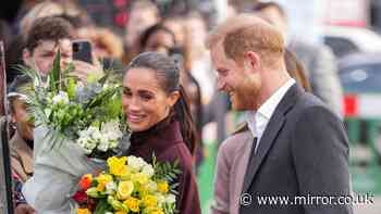 Adoring fans, barriers for crowds, flowers and meeting kids - how Harry and Meghan's 'non-royal' visit unfolded