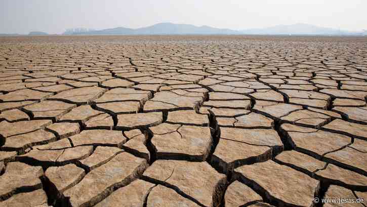Brot für die Welt: Ärmere Länder bei Klimaanpassung unterfinanziert