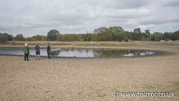 Urgent water warning as severe drought declared in 6 UK counties - full list