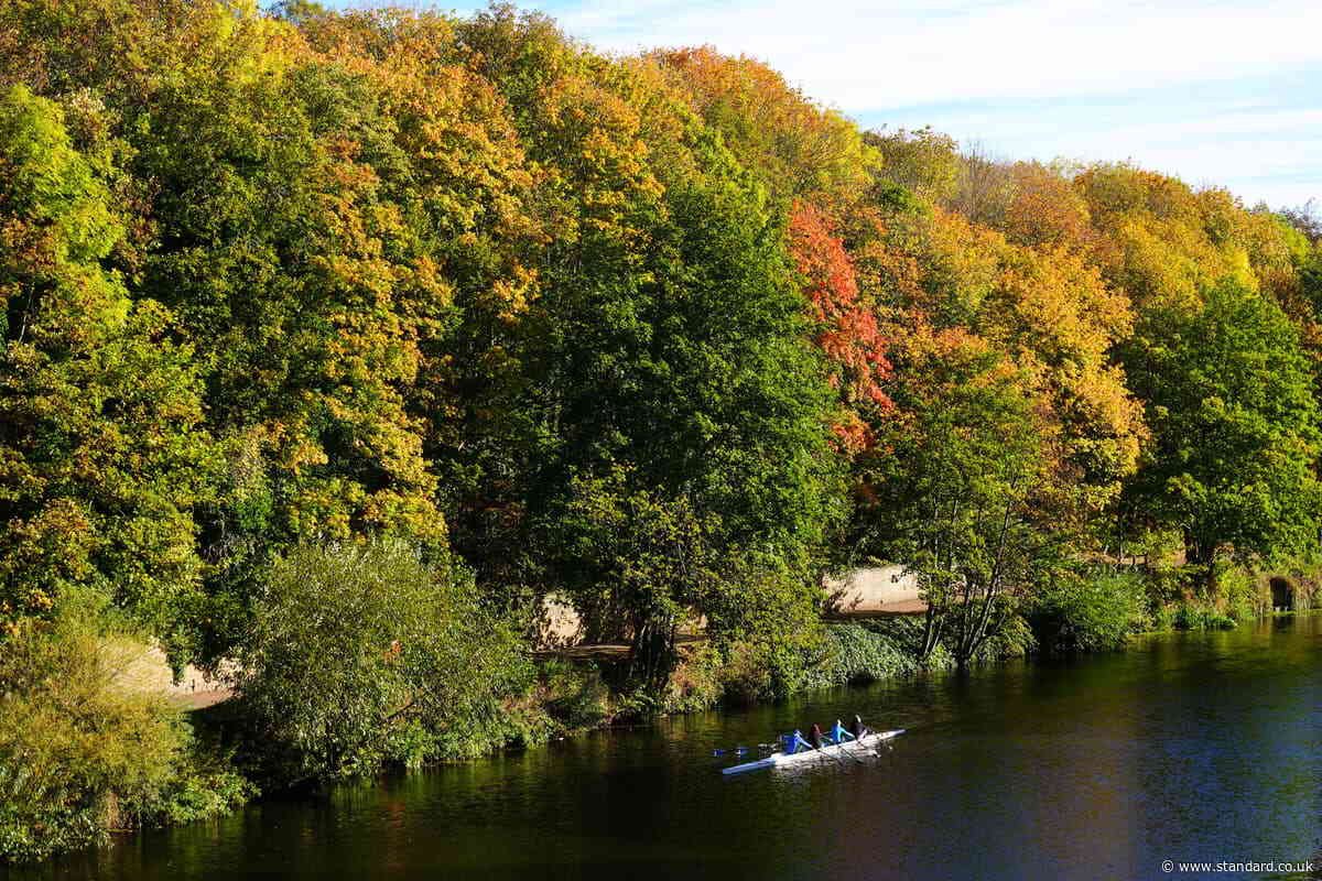 Temperatures to hit 22C before dropping with overnight frost forecast at weekend