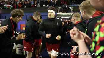 Bolter handed late Wales audition as 25-stone monster unleashed on Welsh stars