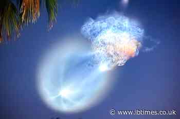 'Jellyfish' Above Florida? SpaceX Launch Explains Unusual Morning Sight