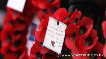 Veterans slam council and claim Remembrance Day parade not happening
