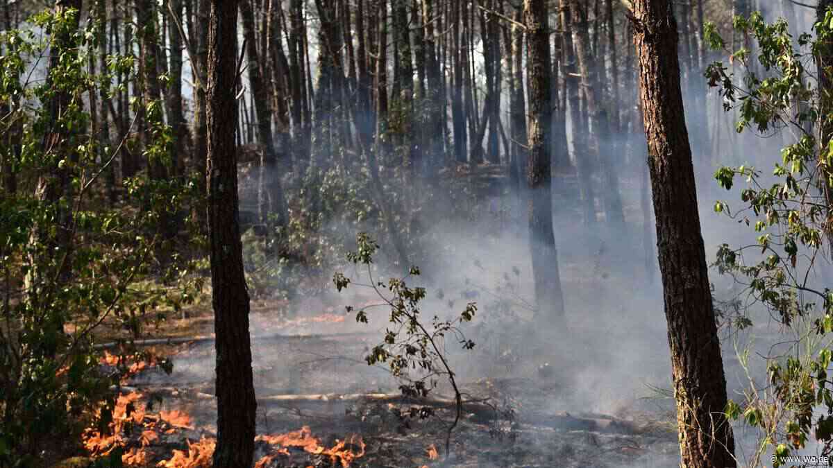 Studie zeigt: Hitze und Waldbrandrauch erhöhen Risiko tödlicher Herz-Kreislauf-Erkrankungen