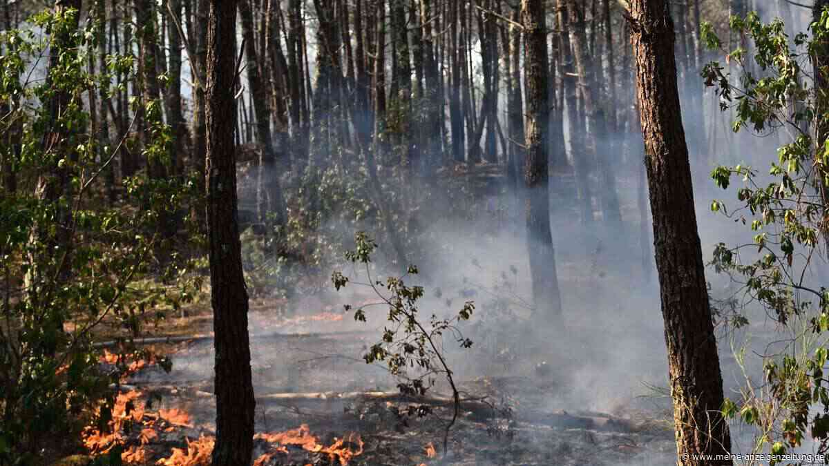 Studie zeigt: Hitze und Waldbrandrauch erhöhen Risiko tödlicher Herz-Kreislauf-Erkrankungen