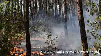 Studie zeigt: Hitze und Waldbrandrauch erhöhen Risiko tödlicher Herz-Kreislauf-Erkrankungen