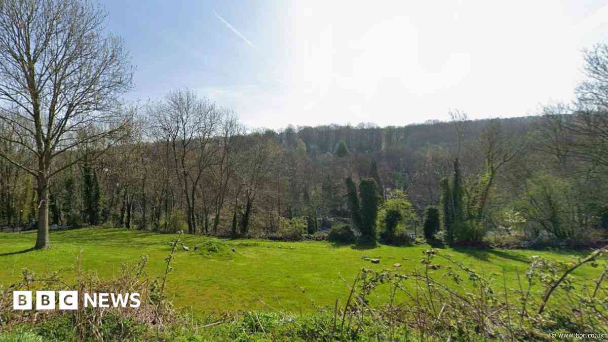 Dog park plans to go ahead despite objections
