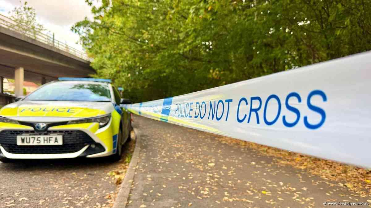 'Substantial' crime scene near Eastville park and M32