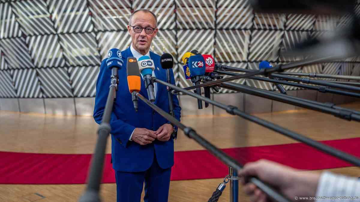 Friedrich Merz und der EU-Haushalt: Bloß nicht mit dem Kopf durch die Wand