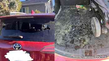 SQ investigates more than 60 cases of BB gun vandalism in Vaudreuil-Soulanges